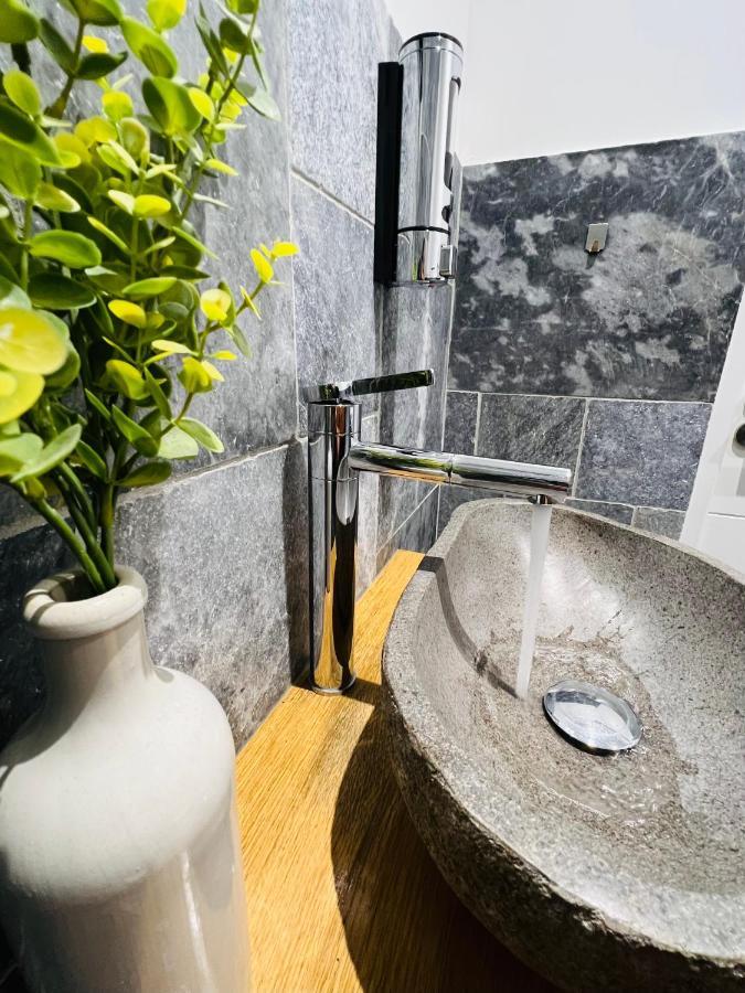 Le Zenith Apartment Сент Етиен Екстериор снимка
