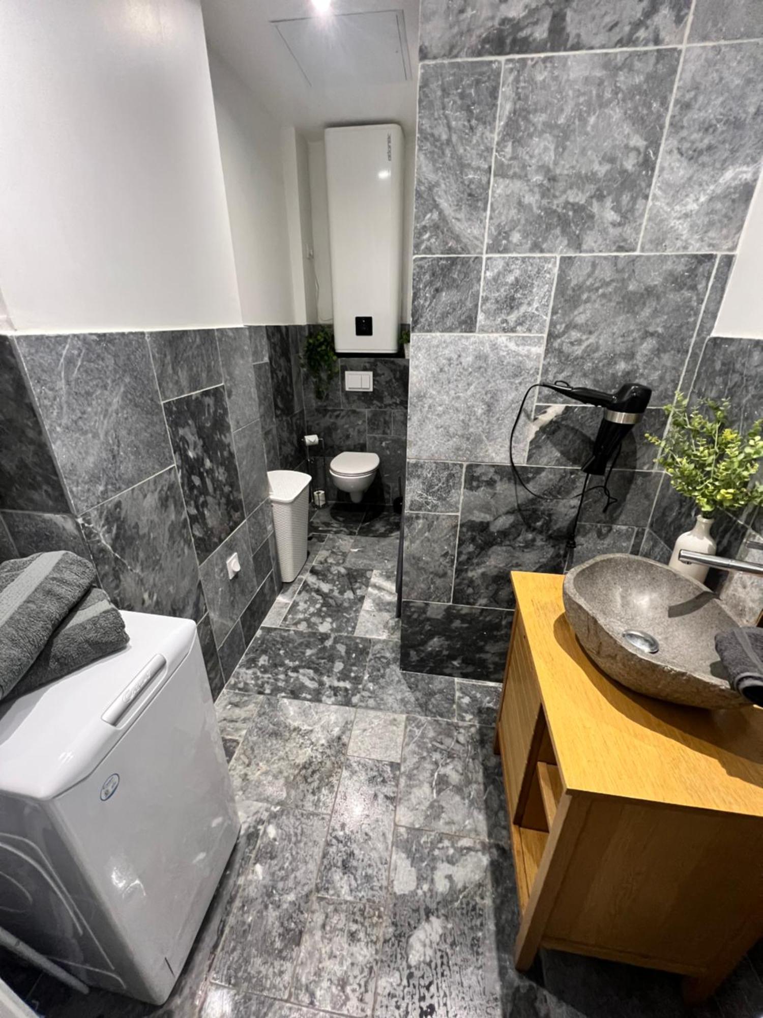 Le Zenith Apartment Сент Етиен Екстериор снимка